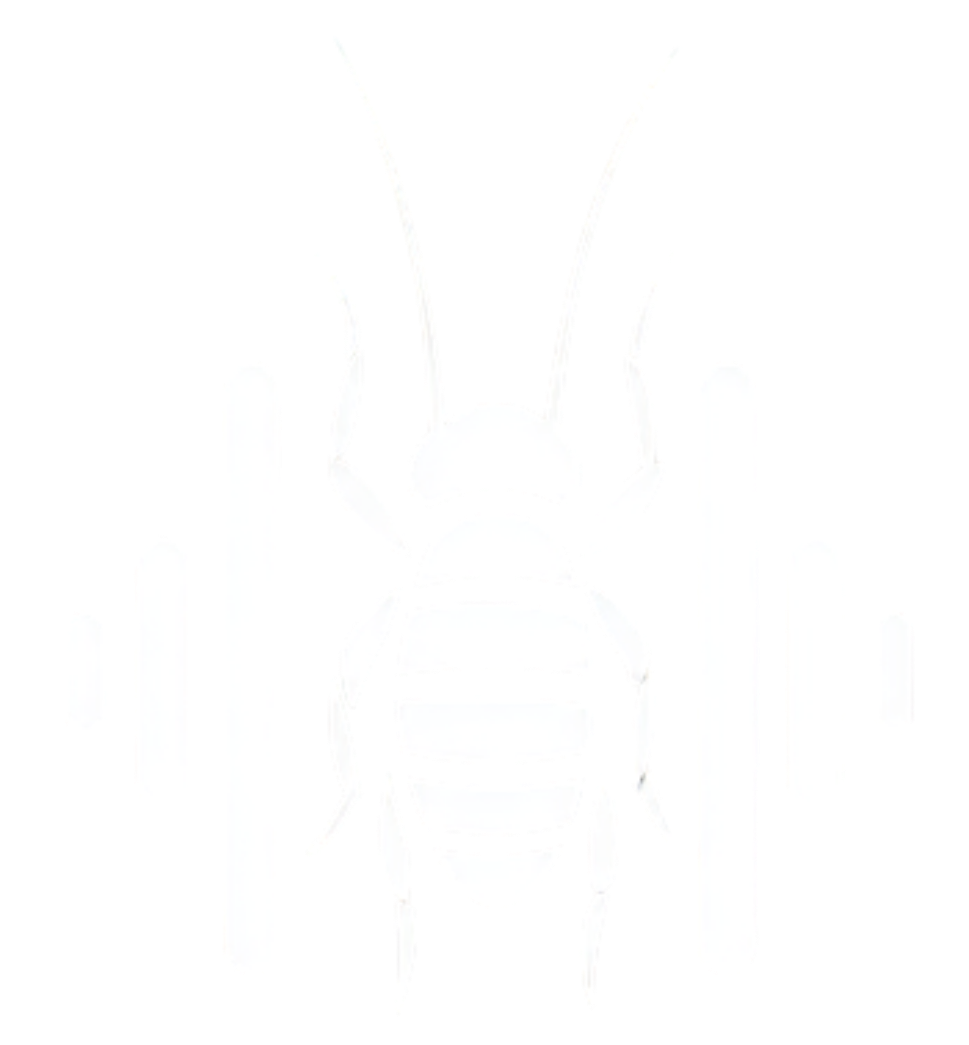 Termite Audio